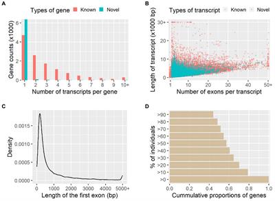 Long-read sequencing-based transcriptomic landscape in longissimus dorsi and transcriptome-wide association studies for growth traits of meat rabbits